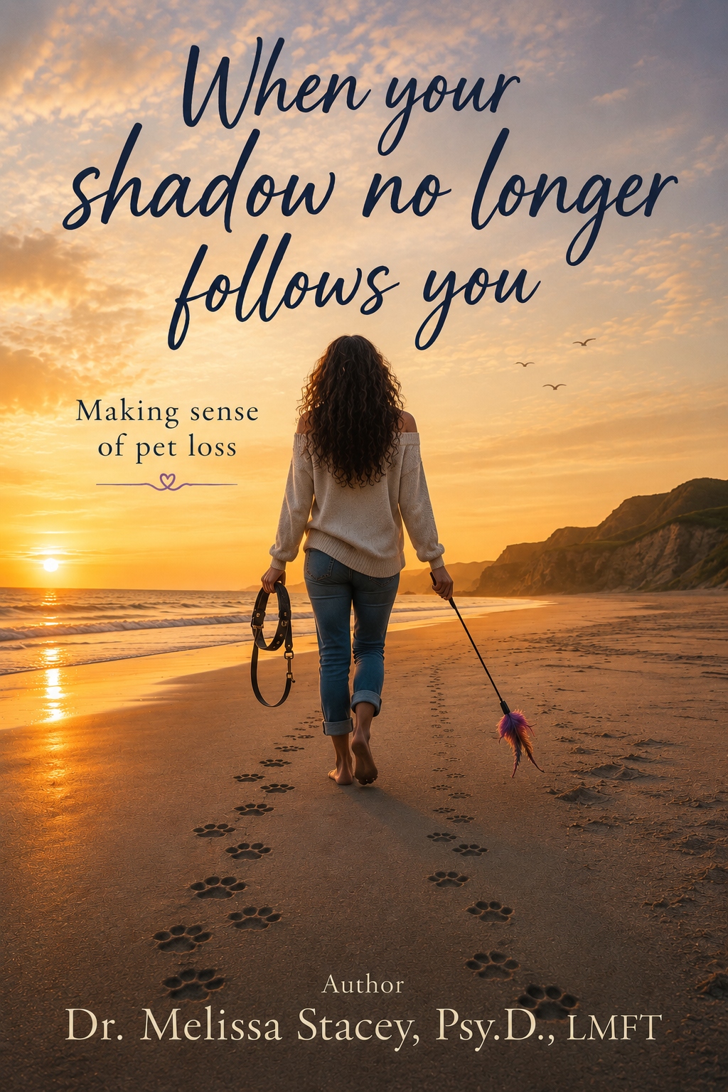 When Your Shadow No Longer Follows You book cover