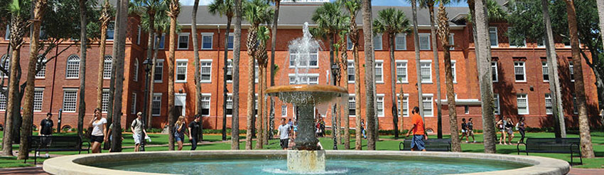 University of South Florida campus
